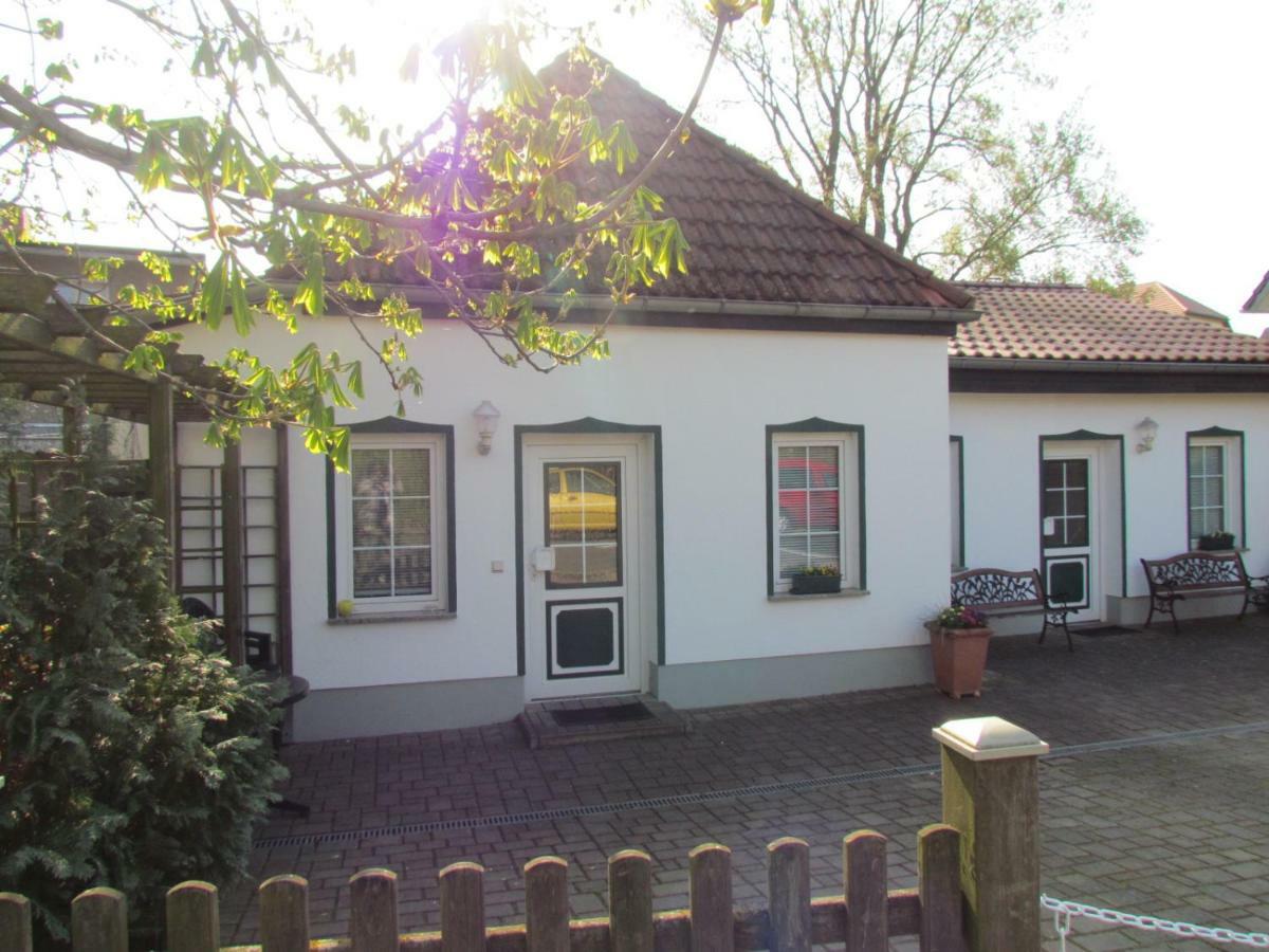 Apartament Kastanienhof Luebben Zewnętrze zdjęcie