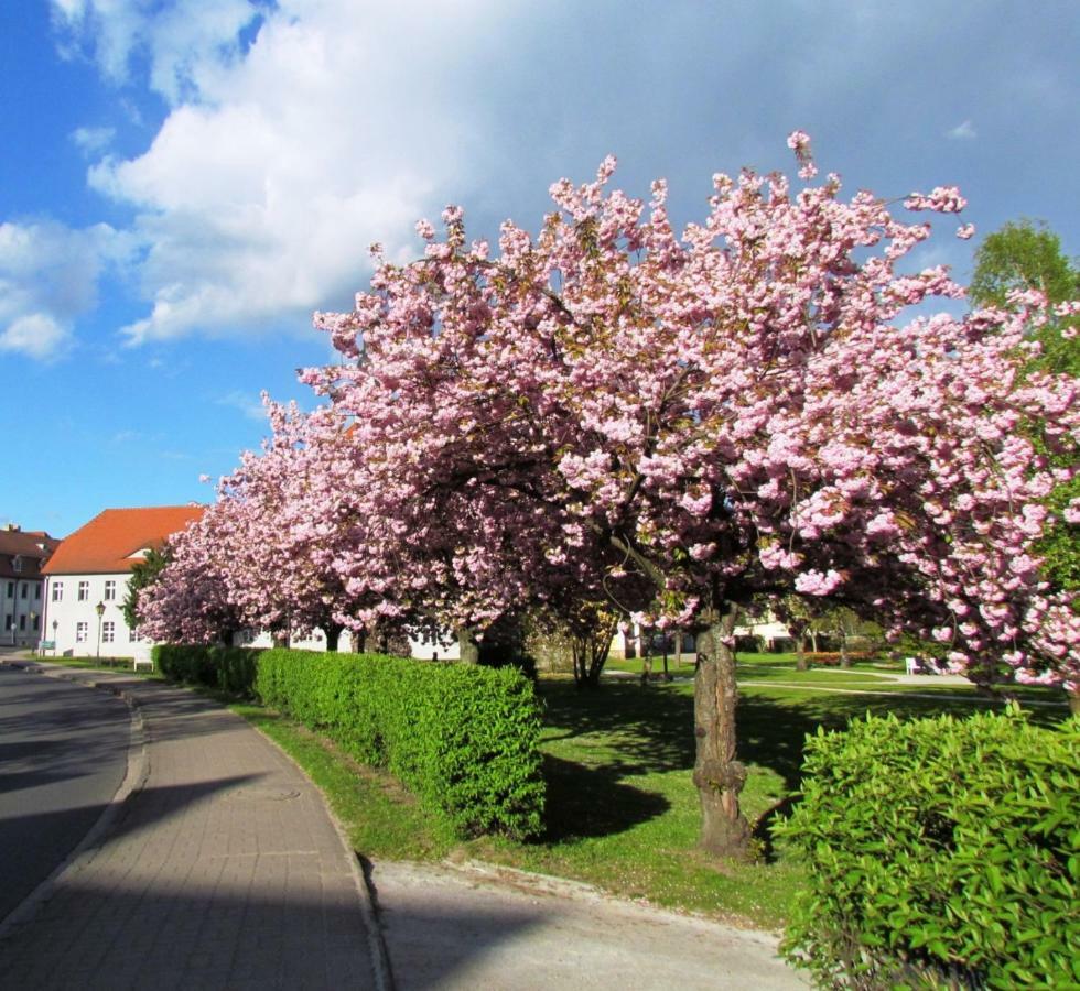 Apartament Kastanienhof Luebben Zewnętrze zdjęcie